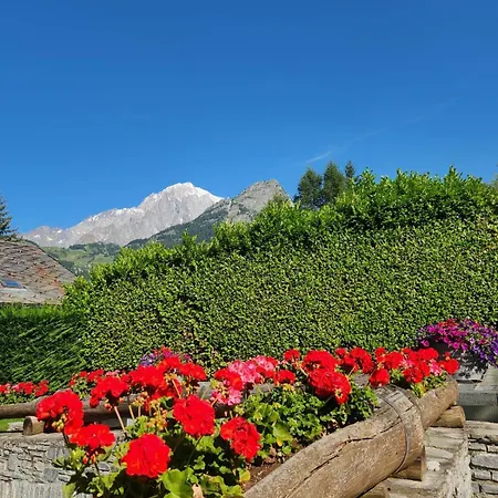 Charming Jonquille Cir 0080 Appartement Courmayeur