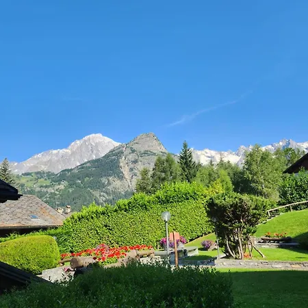 Charming Jonquille Cir 0080 * Courmayeur